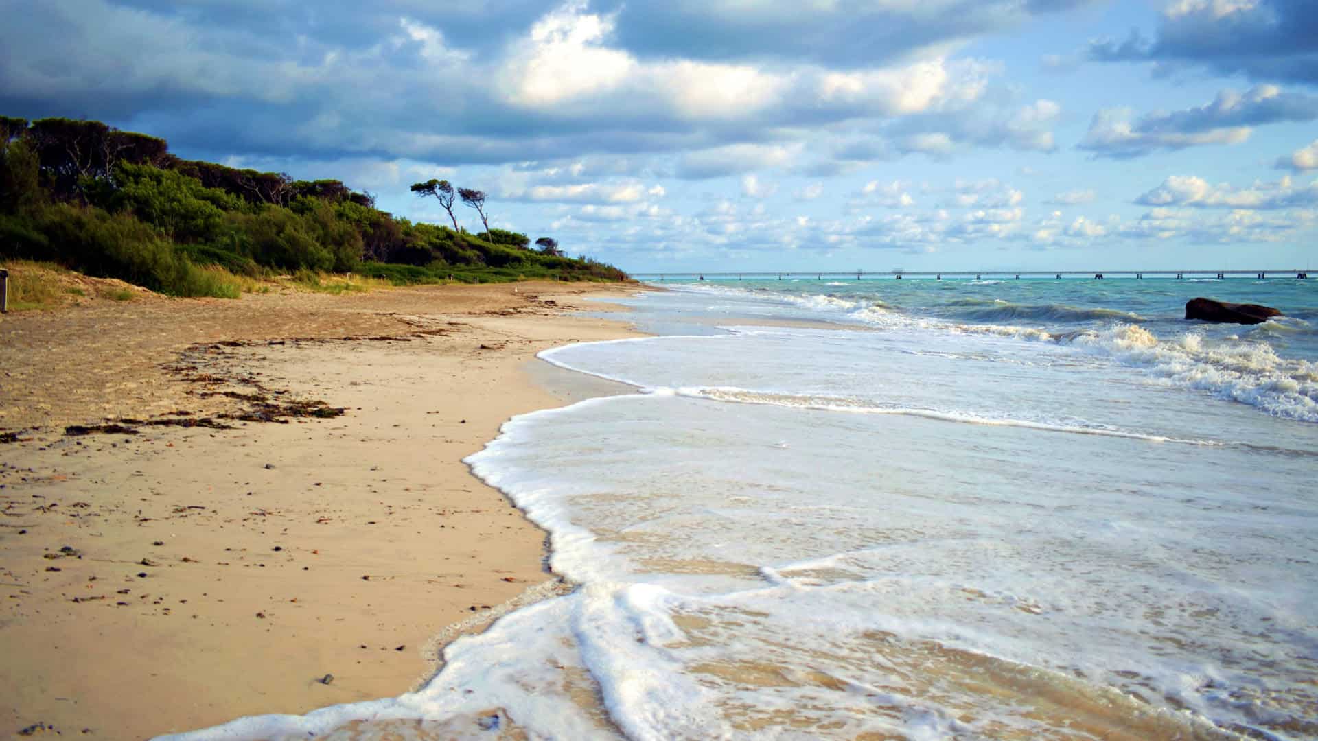 The shoreline of Spiagge Bianche in Rosignano Solvay