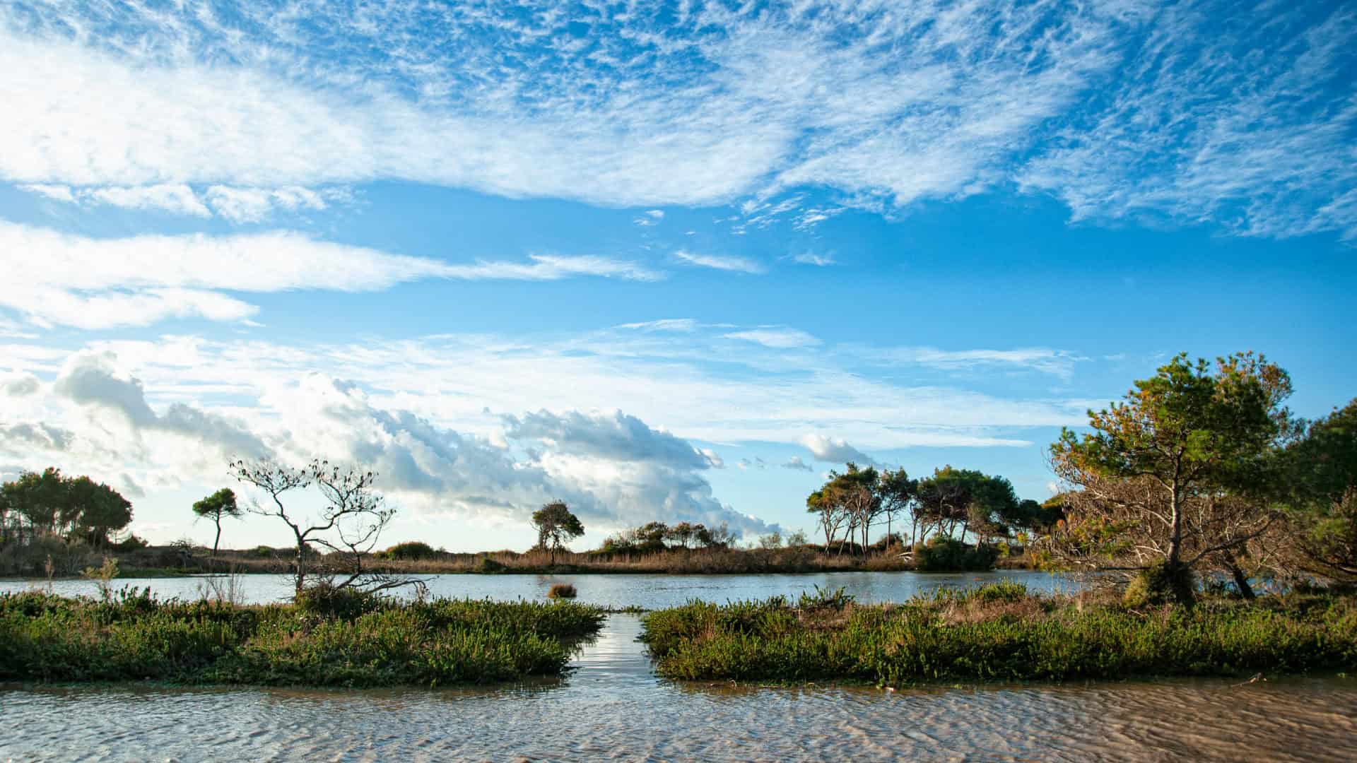 The sandy beach of Sterpaia Park in Piombino. Photo by Roberto Baroni Costaetrusca