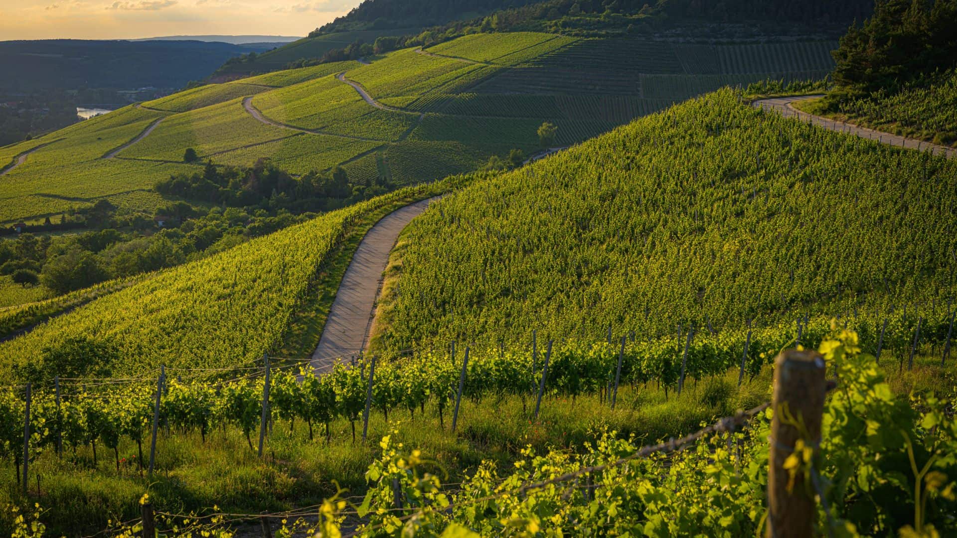 Landscape of Valtellina in Lombardy. Photo by Wirestock