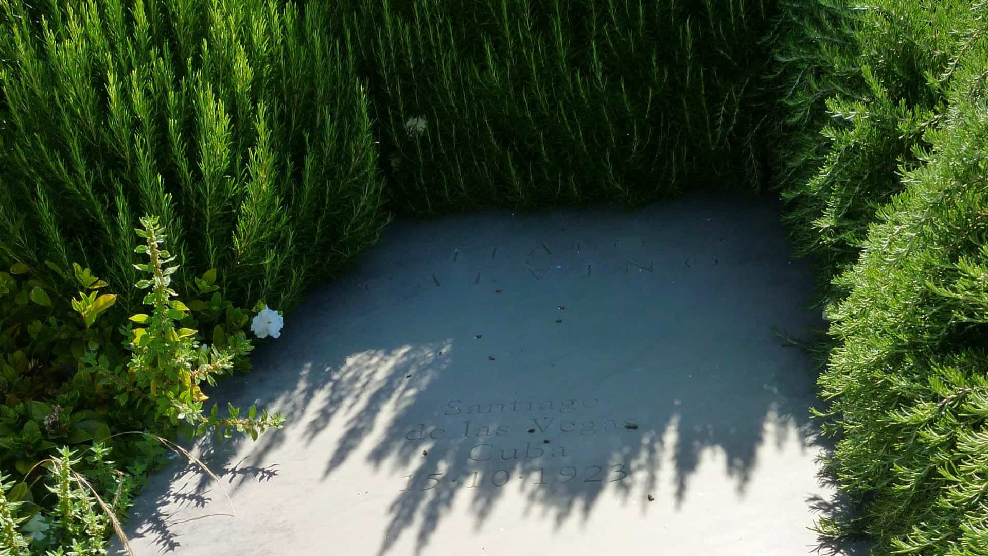 The tomb of Italo Calvino. Photo by Aldo Ardetti