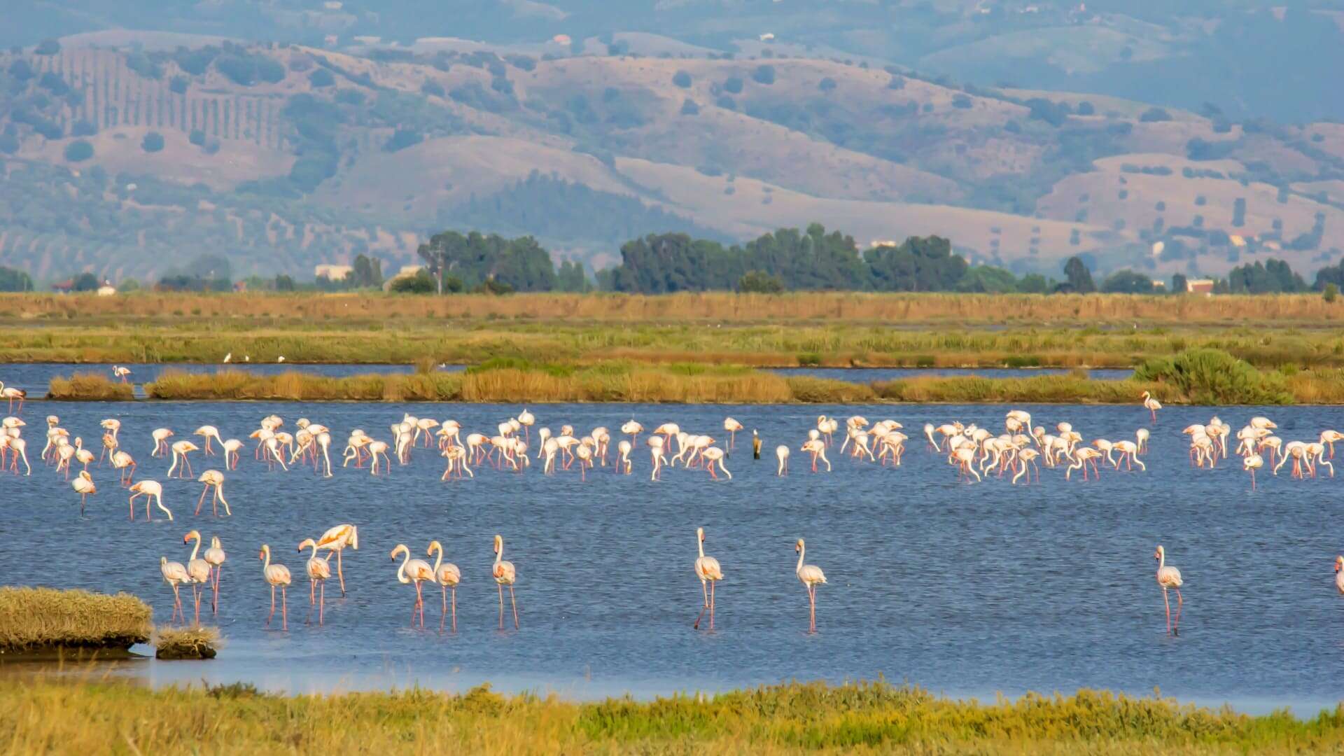The Diaccia Botrona Nature Reserve