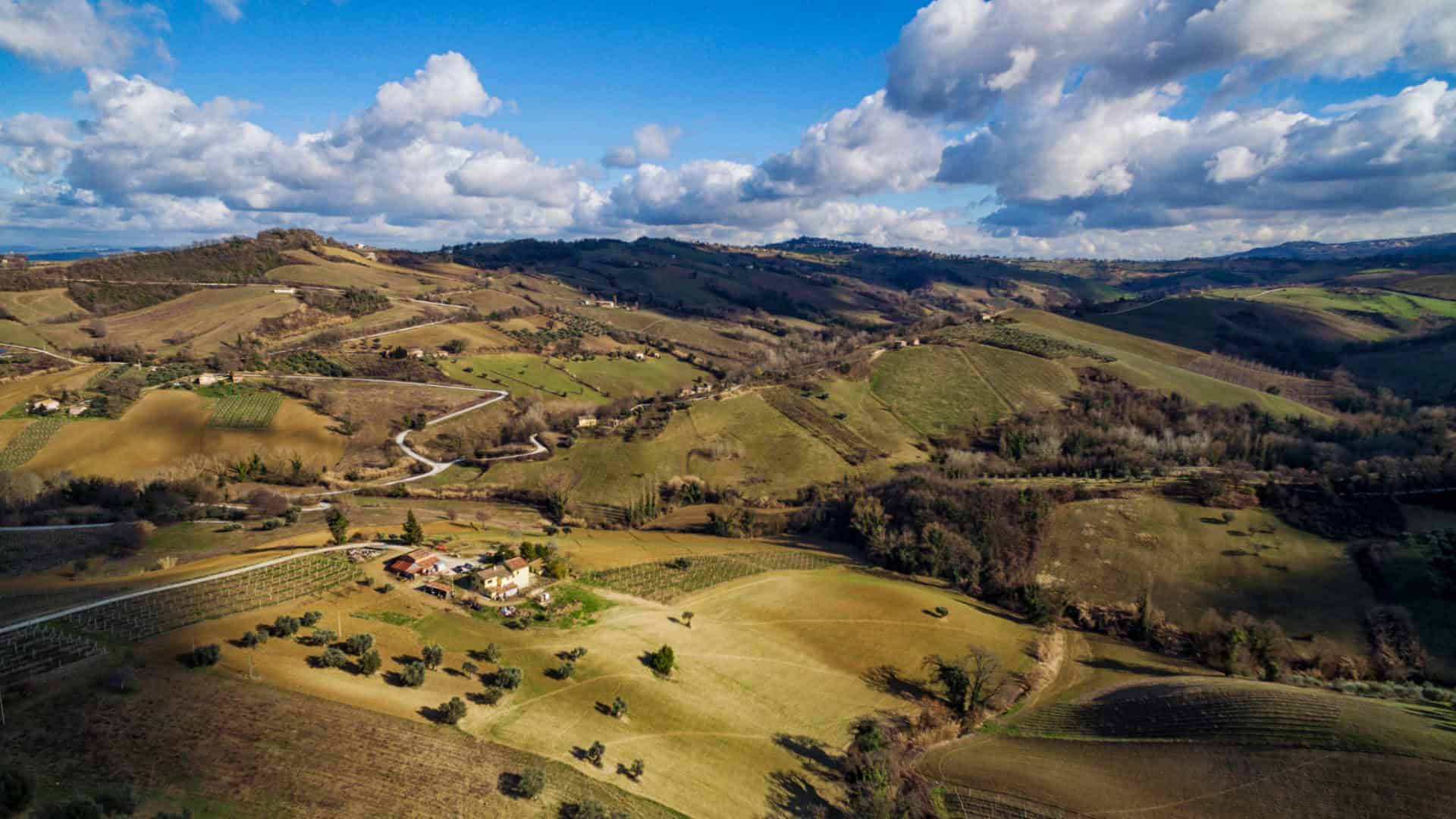Verdicchio-Weinberge von oben gesehen