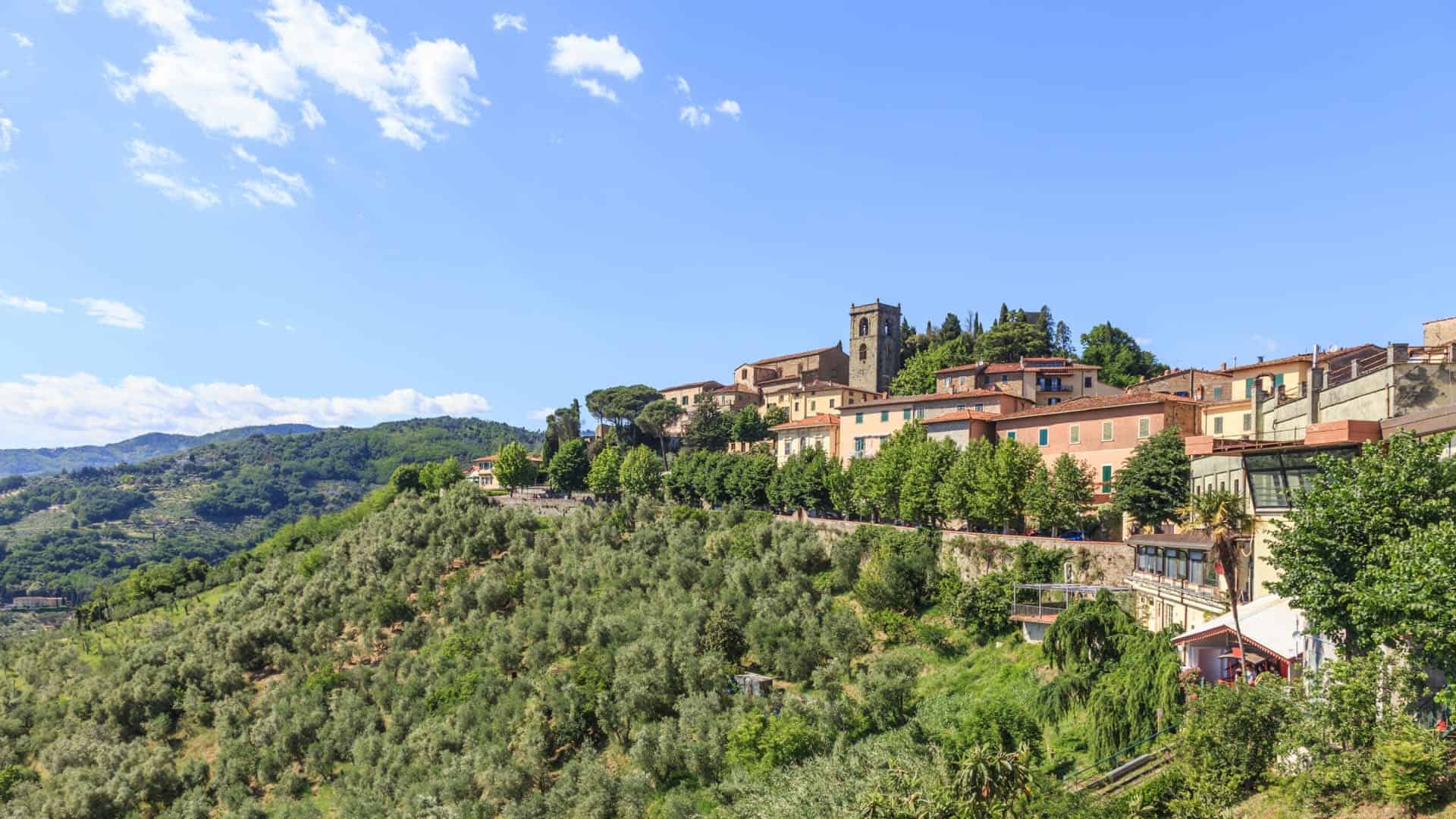 Panoramic view of upper Montecatini Terme