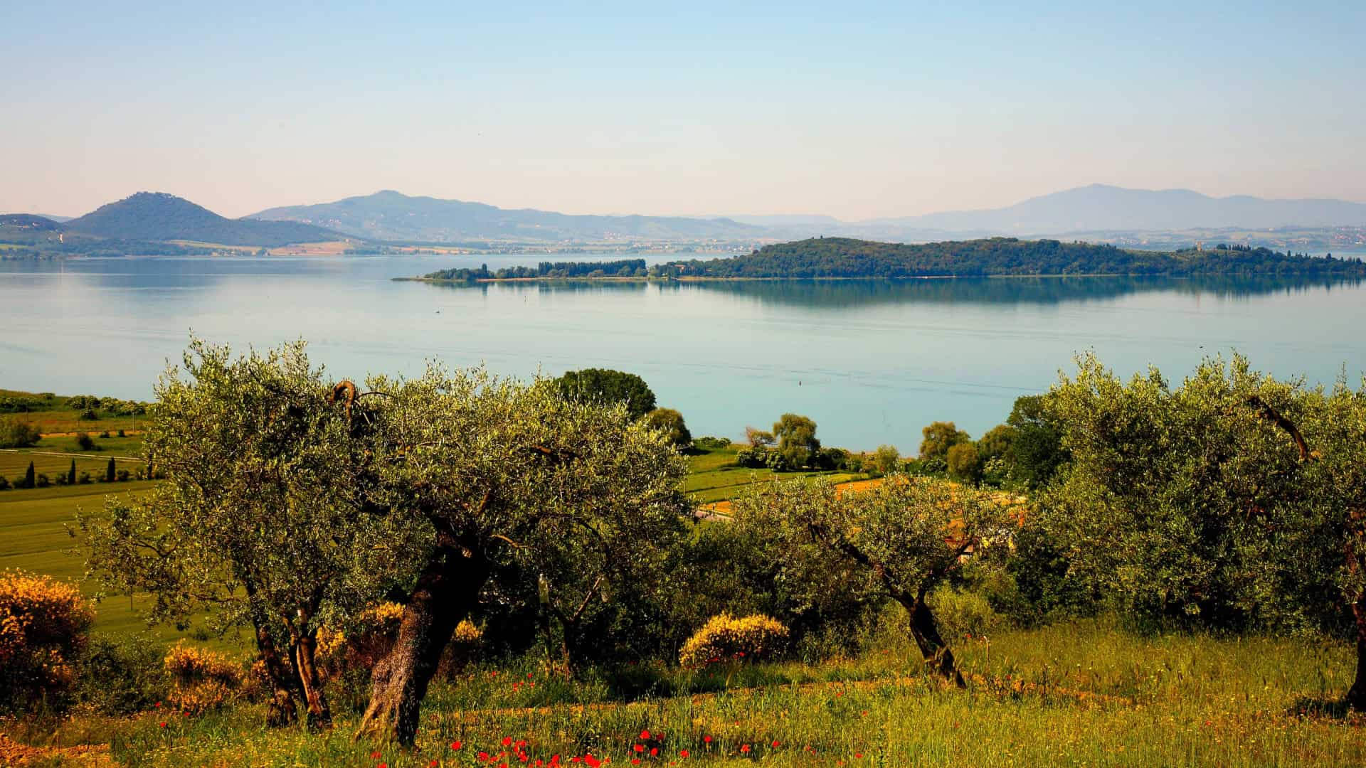 Wide panoramic view of Lake Trasimeno