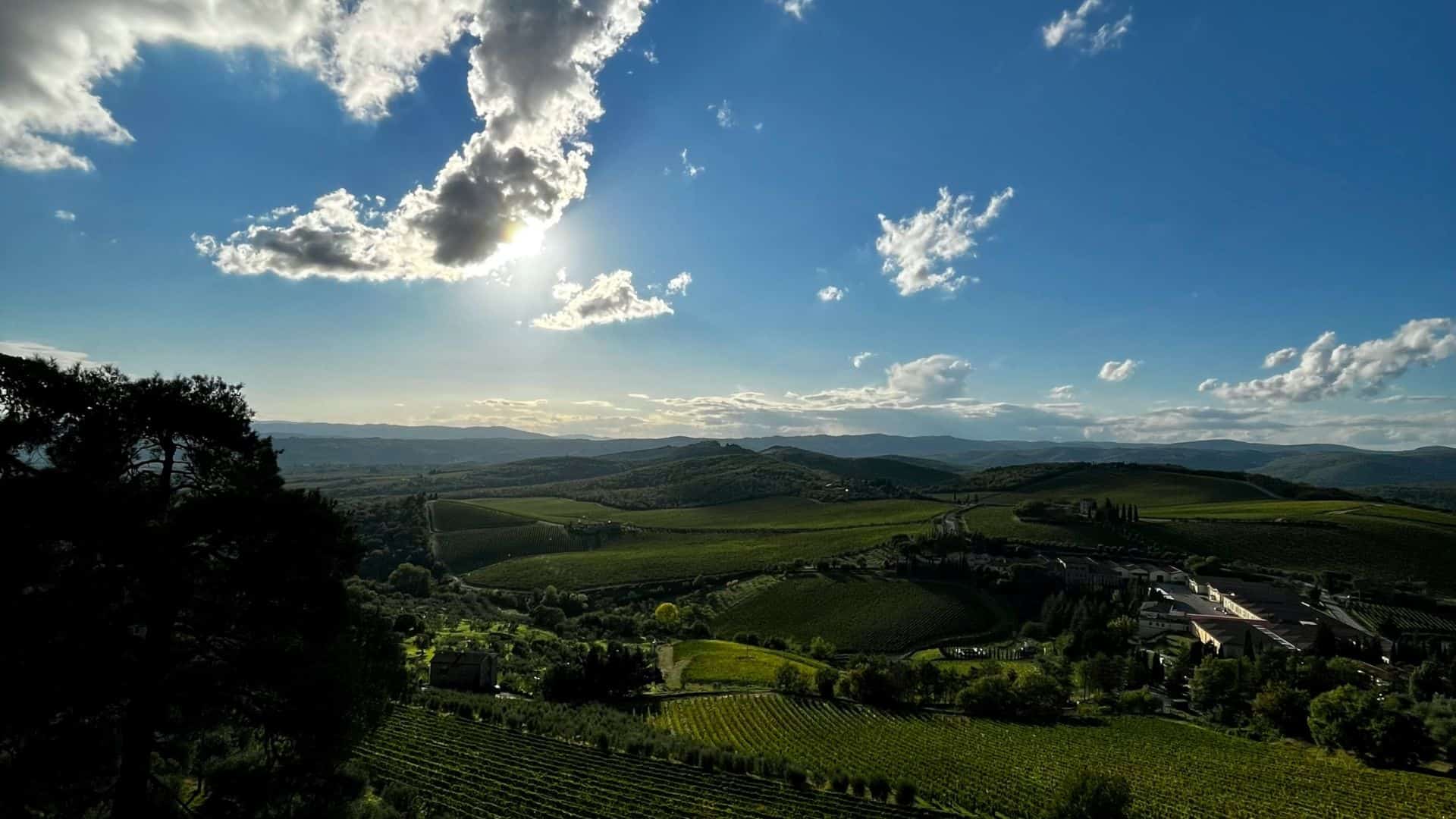 Chianti landscape. Photo by Matteoli Filippo