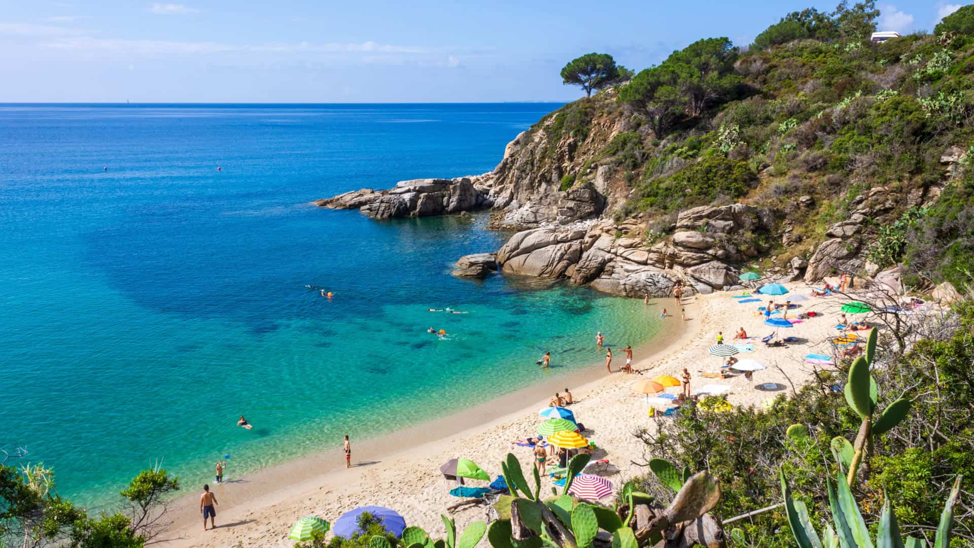 Panoramic glimpse of Cavoli coastline, a beach on Elba Island