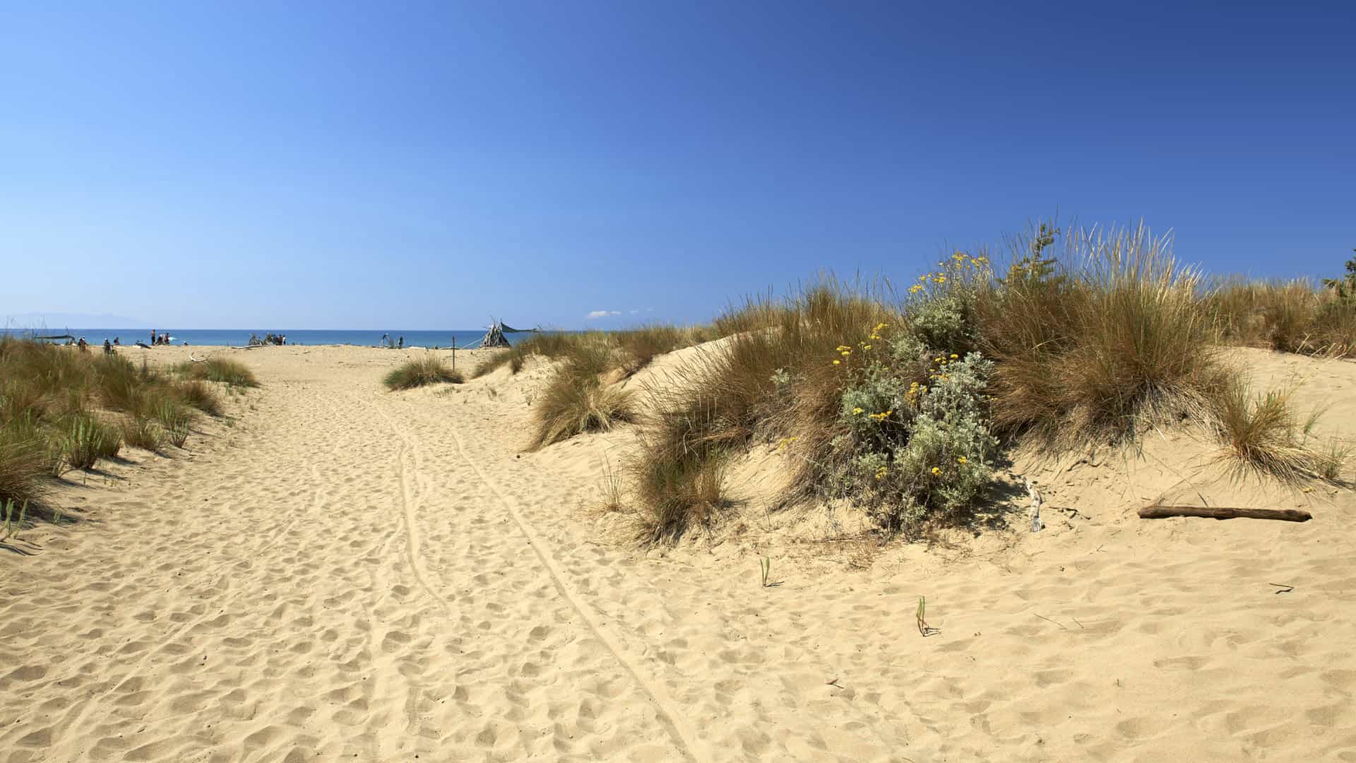 Der Sandstrand von Collelungo im Naturpark der Maremma