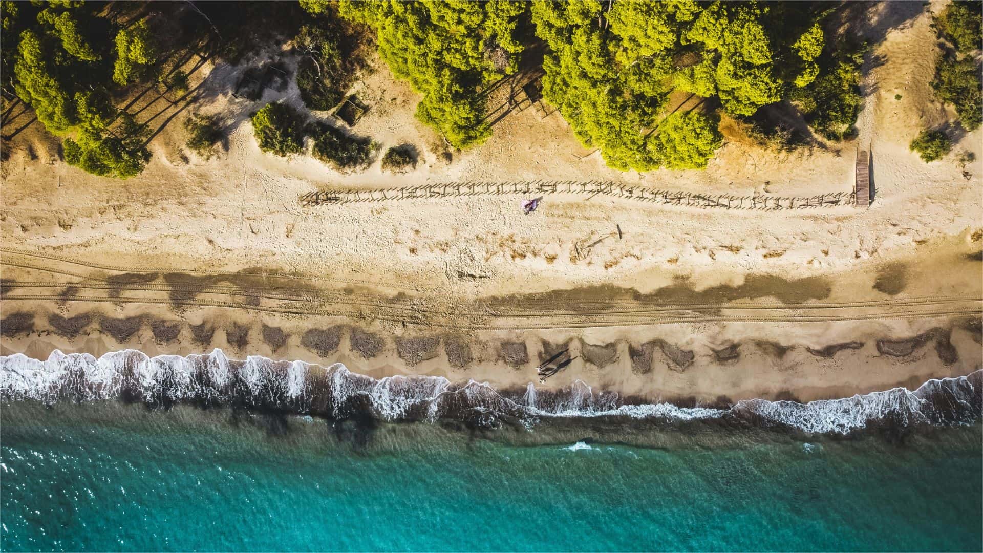A beach in Follonica