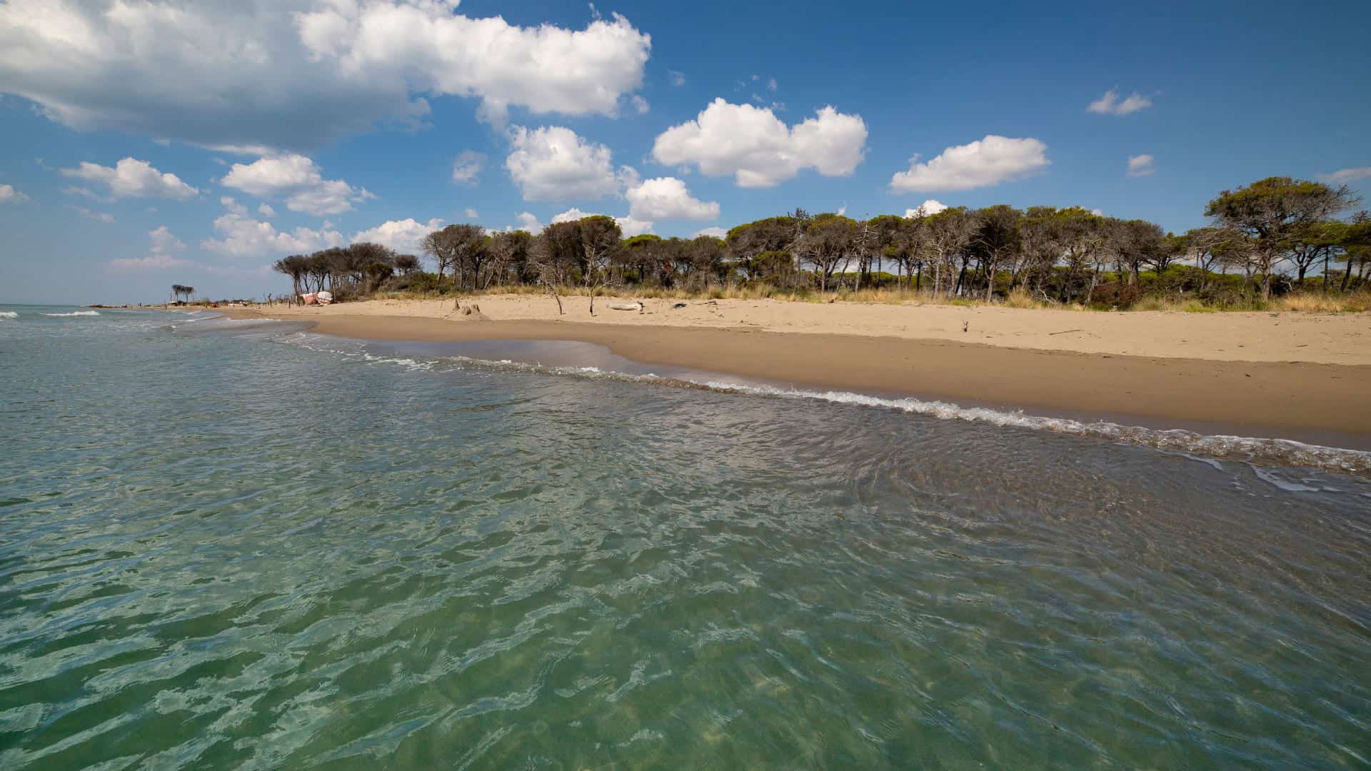 The crystal-clear sea and beach of Marina di Alberese, in the Maremma Park