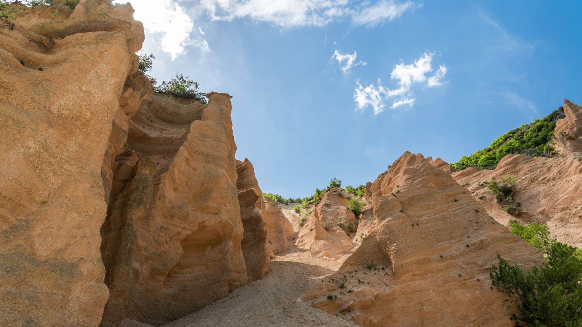 The Lame Rosse trail