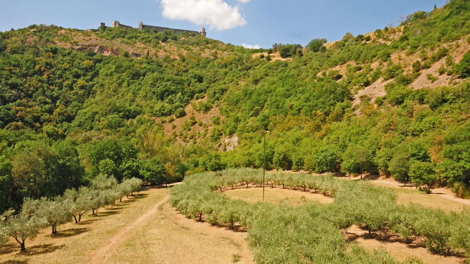 View of the Bosco di San Francesco in Assisi