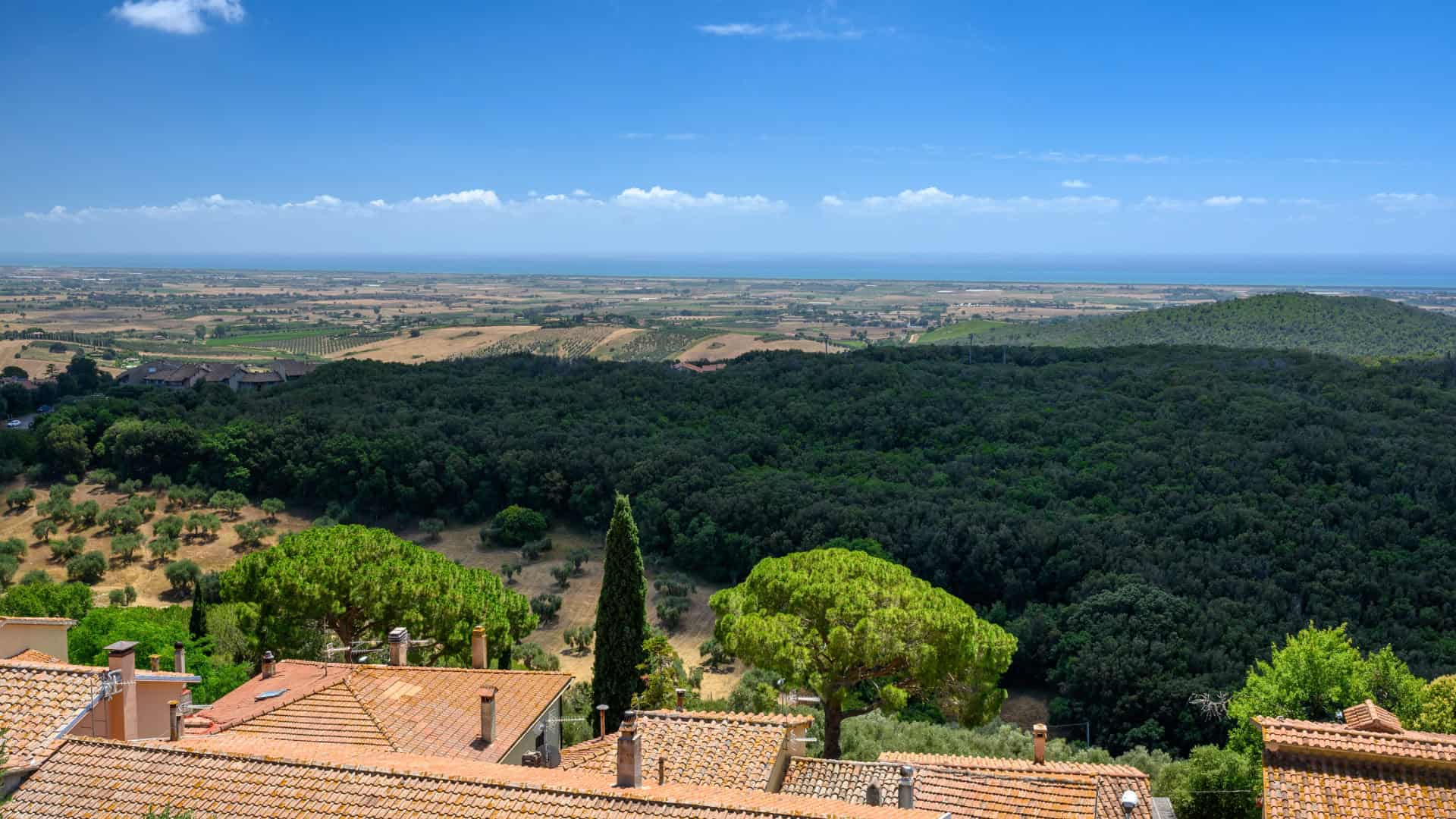 Panoramic view of the fields of the Tuscan Maremma
