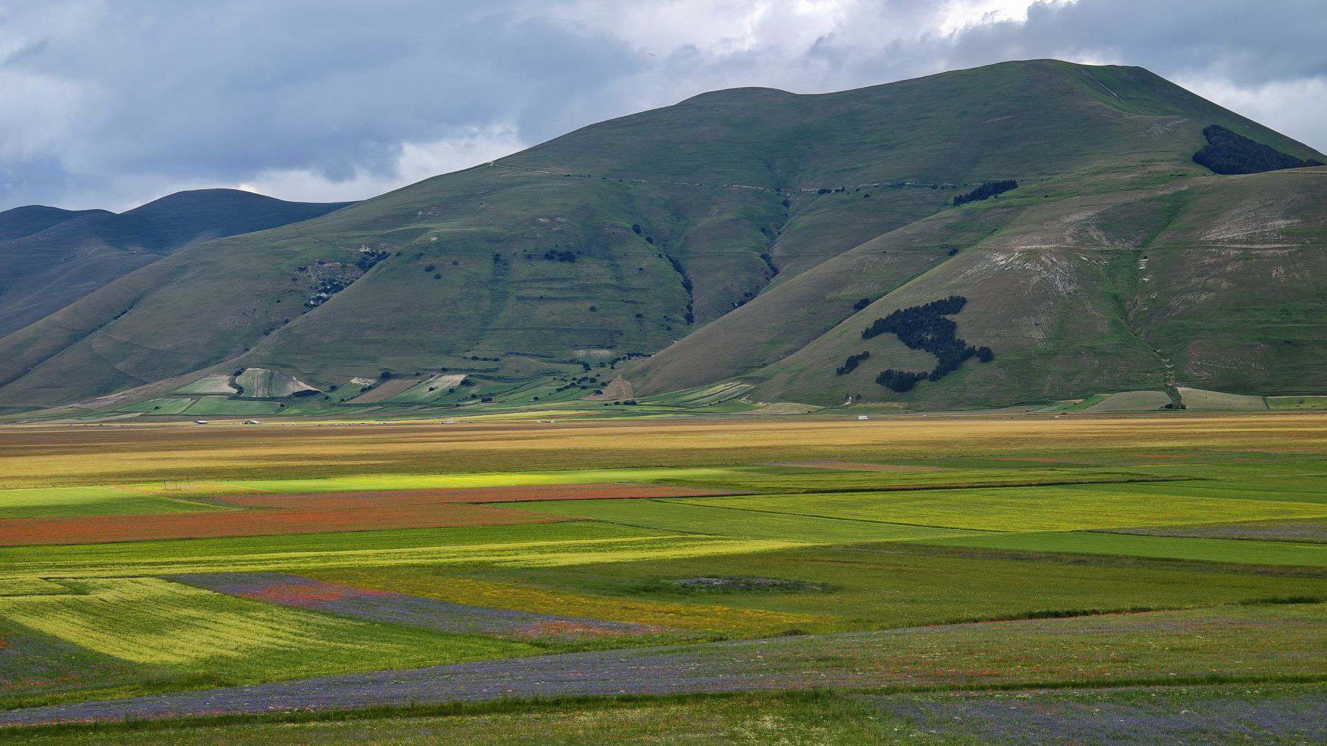 Typical landscape of Castelluccio di Norcia